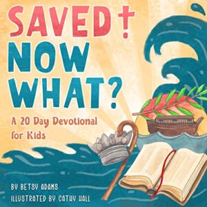 Saved Now What? book cover